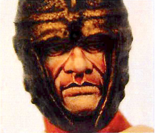 The completed face without the helmet nasal guard fitted infront of it. 