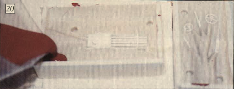 Screenshot 2021-08-11 at 21.33.35