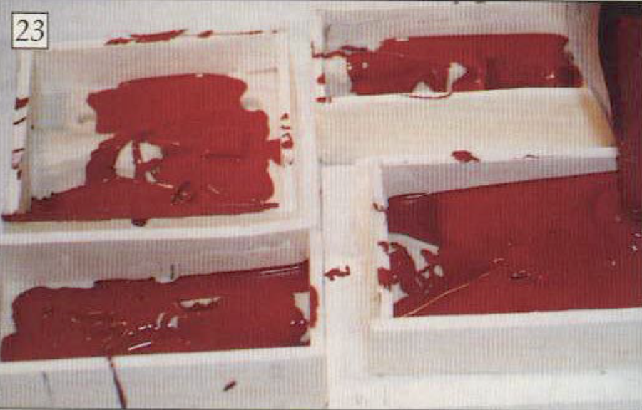 23. Go back to tlte first mould and fill it with the rubber to about half way up the sides of the mould's wall.